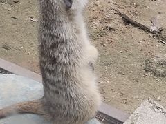 -昆明动物园