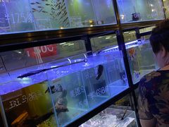 -宠物世家(仲盛世界商城店)