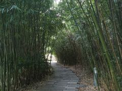 -泉州迎宾馆