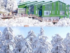 -瓦屋山景区