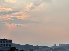 -福道