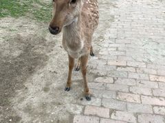-广东花都香草世界旅游度假区
