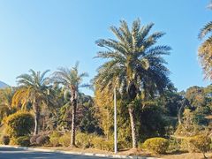 -罗浮山嘉宝田森林温泉度假酒店