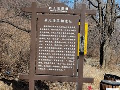 -阳台山自然风景区