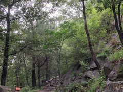 -阳台山自然风景区