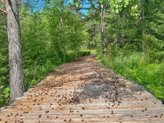 -北极村旅游风景区