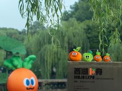 -西湖游船