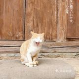 超火爆｜一个面包店撑起一个村
