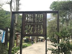 -瑞穗牧场