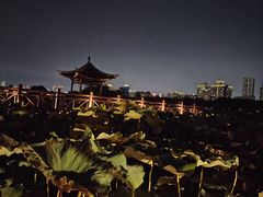 -南宁南湖公园
