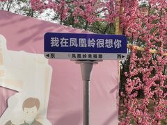 -北京凤凰岭