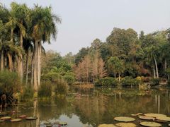 -中国科学院西双版纳热带植物园