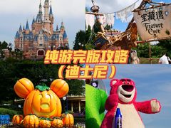 -上海迪士尼度假区