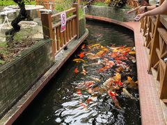 -侠成水上农庄(工业大道店)