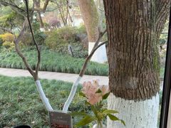 -浙江西子宾馆·瑶园咖啡厅