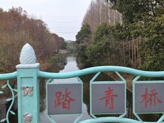 -上海长兴岛郊野公园