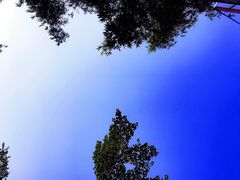 -东莞植物园