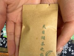 -天目湖山水园