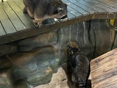 -顺德南宏海立方海洋公园