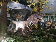 -湖南省地质博物馆