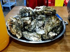 -黑猫馋纸包鱼(阳光店)