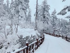 -瓦屋山景区