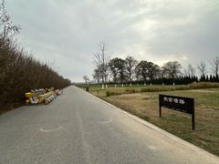 -汉长安城未央宫国家考古遗址公园