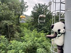 -富斯特索道