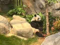 -香港海洋公园