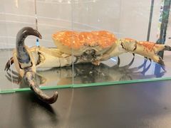 -燕莎友谊商城(亮马桥店)