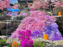 -茅山东方盐湖城景区