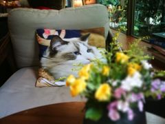 -咖法森林·咖啡  酒吧(天河店)