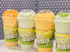 -茉酸奶(春熙路店)