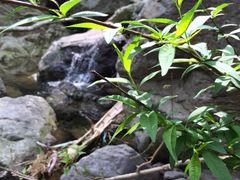 -宁波五龙潭景区