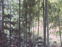 -众神白水涧景区