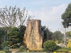 -昆山城市生态森林公园