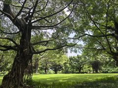 -南宁南湖公园