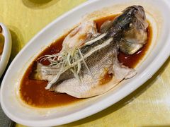 -金彤川菜(西稍门店)