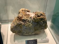 -金钉子远古世界景区