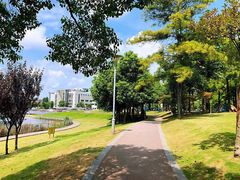 -美兰湖景区
