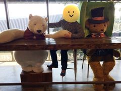 -济州岛泰迪熊博物馆