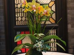 -广州酒家(昌岗地铁站店)