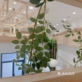 配料简单的宝藏面包店，面包脑袋放心冲啦