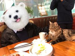 -猫小院猫主题餐厅(三里屯店)