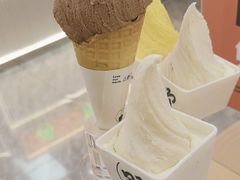 -野人先生现做冰淇淋(西安赛格店)