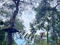 -芦仙山景区-飞越丛林探险乐园