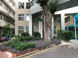 -深圳市妇幼保健院(红荔院区)