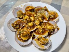 蚝油扇贝-华春餐馆(鱼山路店)