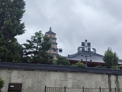 -大雁塔北广场音乐喷泉