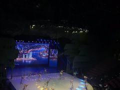-重庆国际马戏城